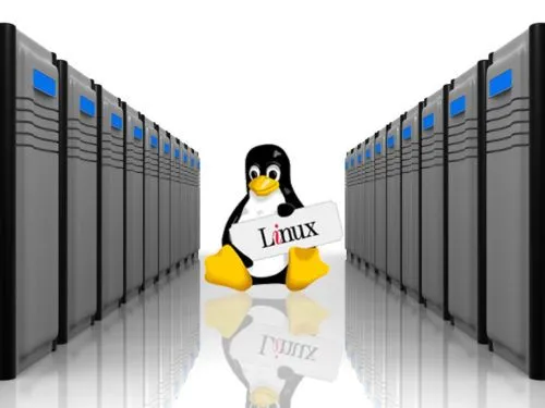 Linux Cpanel Web Hosting